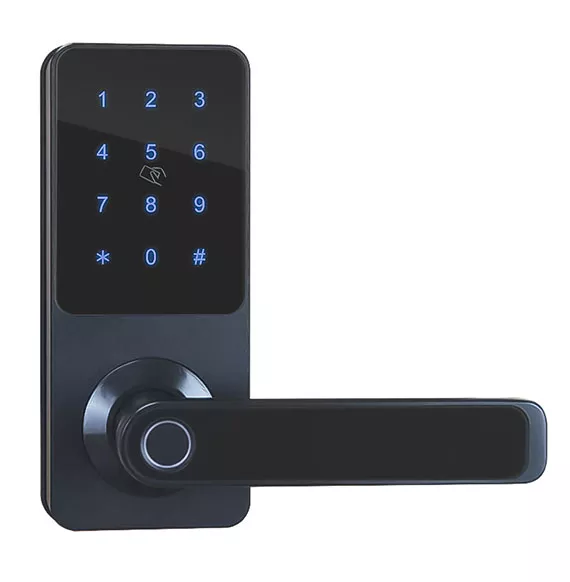 TM1100 Smart Fingerprint Lock