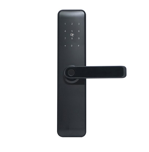 TM1117 Bluetooth Fingerprint Lock
